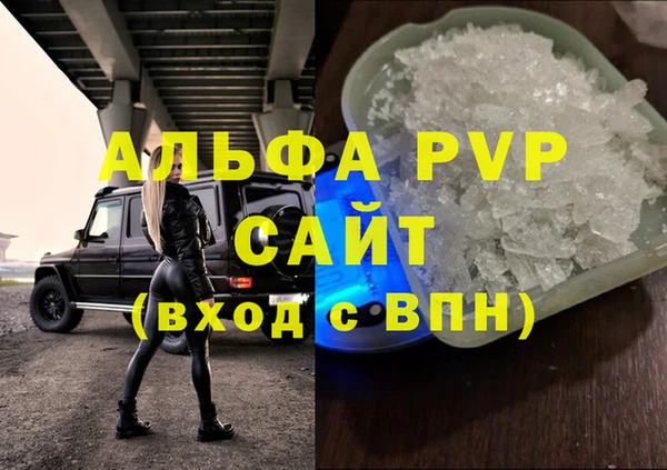 стаф Арсеньев