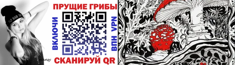 Псилоцибиновые грибы Psilocybine cubensis  продажа наркотиков  дарк нет Telegram  Калтан 